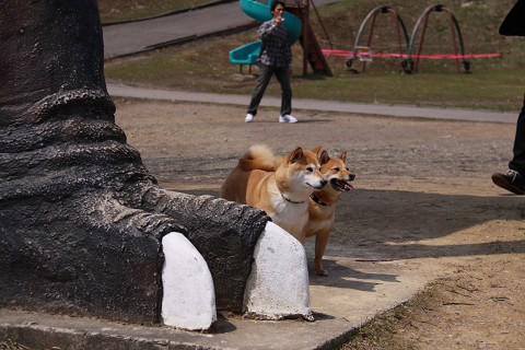 1resize0606.jpg