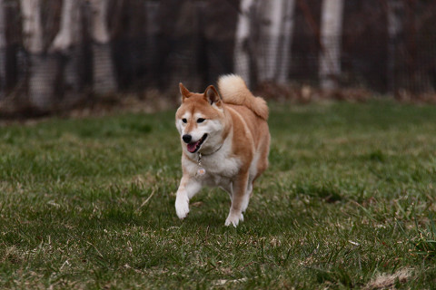 1resize0643.jpg