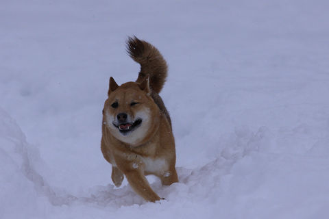 1resize0987.jpg