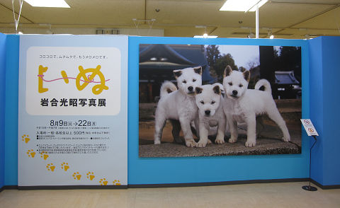 1resize1061.jpg