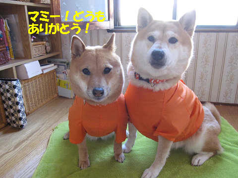 1resize1443.jpg