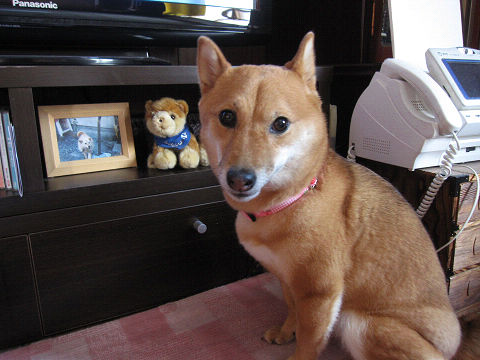 1resize2624.jpg