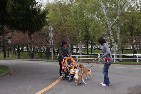1resize3081.jpg