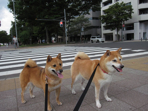 1resize3532.jpg