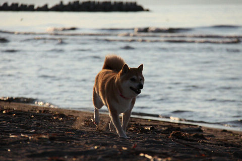 1resize3704.jpg
