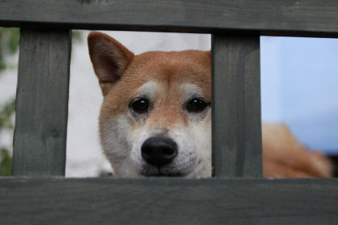 1resize3853.jpg