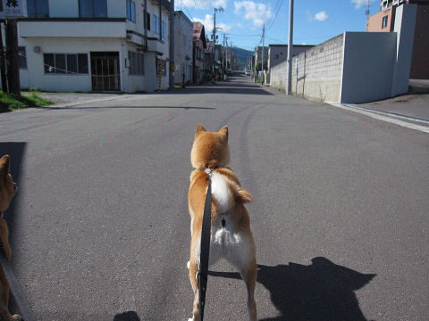 1resize3937.jpg
