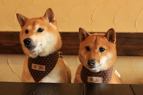 1resize4143.jpg