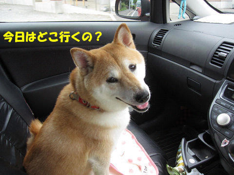1resize5854.jpg