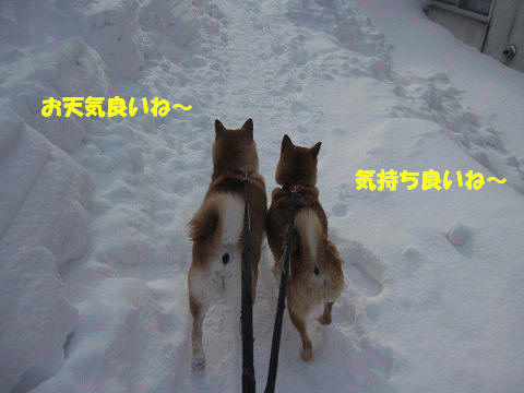 1resize6704.jpg