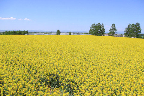 1resize7369.jpg