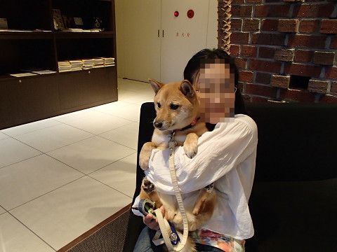 20resize0319.jpg