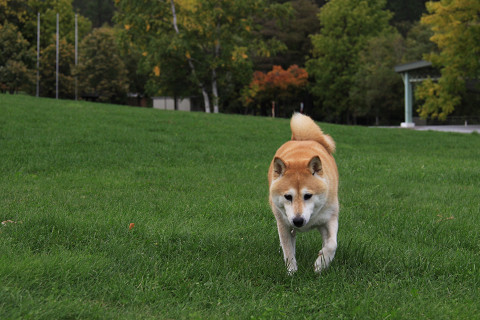 20resize0565.jpg