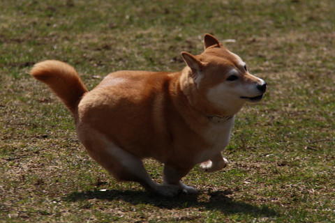 20resize0576.jpg