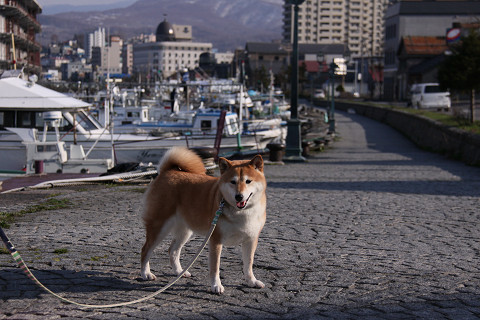 20resize0596.jpg