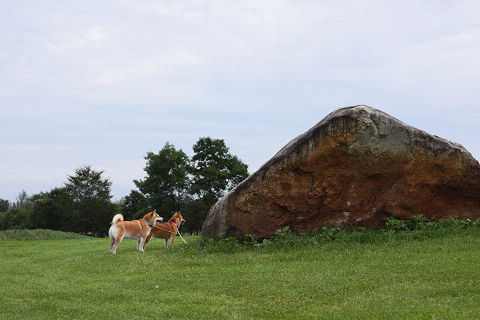 20resize3909.jpg