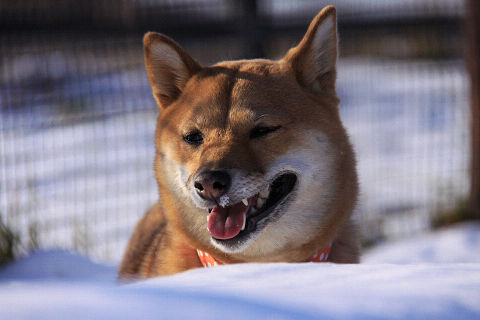 20resize4280.jpg
