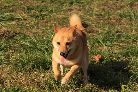 20resize6468.jpg