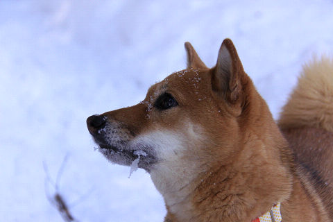 20resize6740.jpg