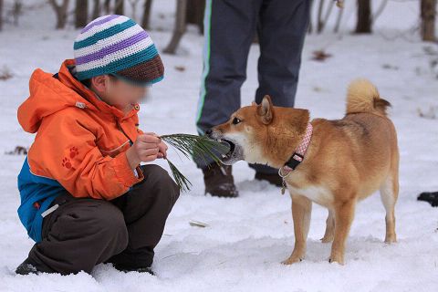 20resize6944.jpg