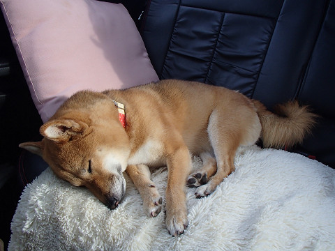 21resize0271.jpg