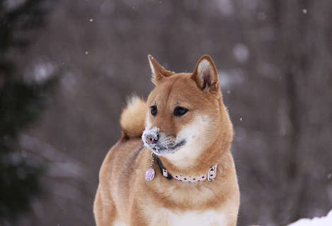 21resize0588.jpg