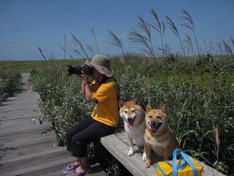 21resize2011.jpg