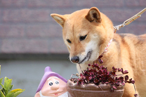 21resize3140.jpg