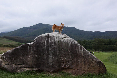 21resize3910.jpg