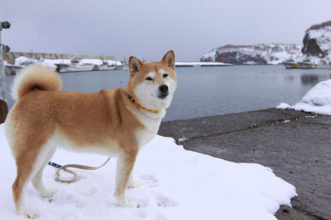 21resize4699.jpg