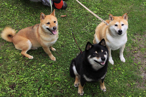 21resize5334.jpg