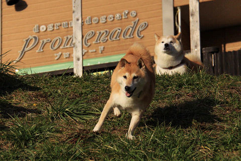 21resize6470.jpg