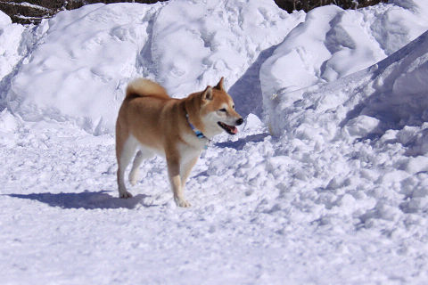 21resize6744.jpg