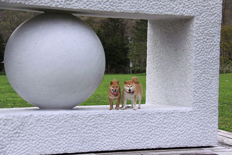 21resize7220.jpg