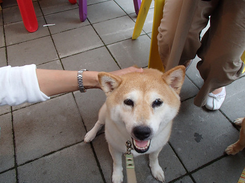 22resize0164.jpg