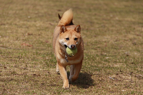 22resize0578.jpg