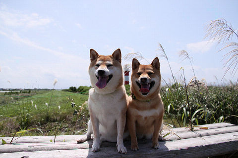 22resize2012.jpg