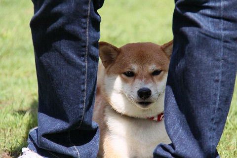 22resize2081.jpg