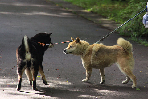 22resize5329.jpg