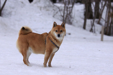 22resize6941.jpg