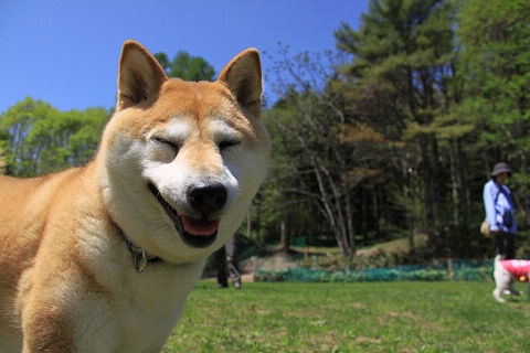 22resize7271.jpg