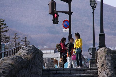 23resize0586.jpg