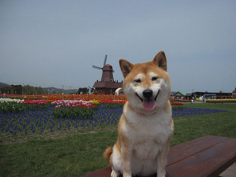 23resize3144.jpg