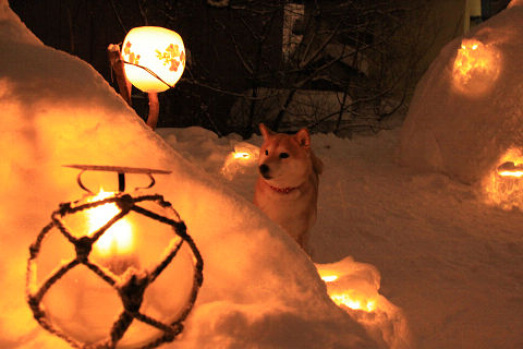 23resize4513.jpg