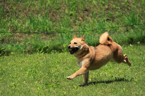 23resize5522.jpg