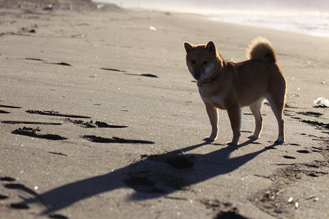 23resize6394.jpg