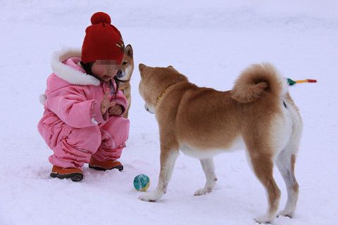 23resize6657.jpg