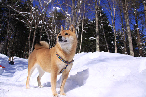 23resize6747.jpg
