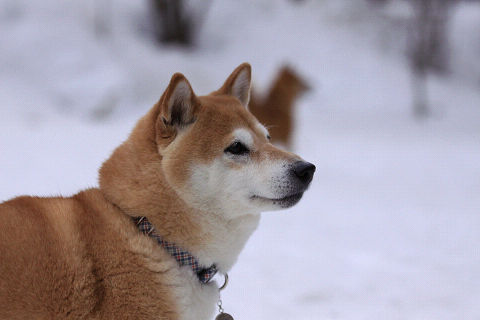 23resize6942.jpg