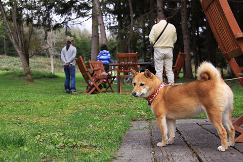 23resize7222.jpg